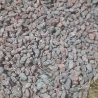 کشمش آفتابی ارگانیگ|خوردنی و آشامیدنی|تاکستان, |دیوار