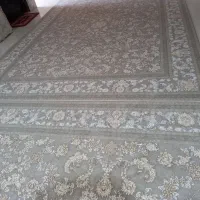 چند عدد فرش نو به قبمت کارخانه|فرش|بندرعباس, |دیوار