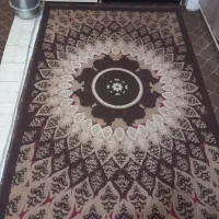قالی پرده فروش فوری