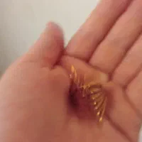 انگشترنو|بدلیجات|نیشابور, بنیاد شهید|دیوار