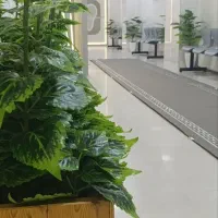 دندانپزشکی کمال الملک