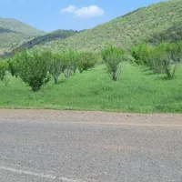 زمین کشاورزی