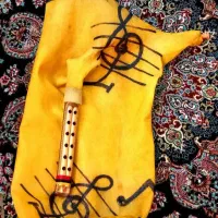 ساز نی انبان نی هنبان|سازهای بادی|کرمان, |دیوار