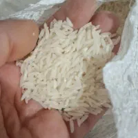 برنج هاشمی درجه یک ۳۷۰تومان