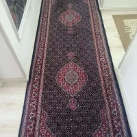 کناره ریزه ماهی