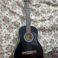 گیتار پرینس