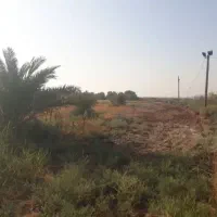 اجاره-زمین-کشاورزی