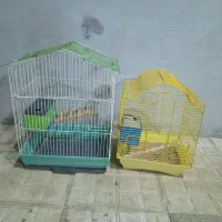 قفسه مرغ عشق