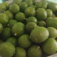 لیمو تازه