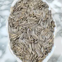 تخمه‌آفتابگردان.سیر‌