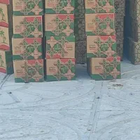 خرما خاصی جم