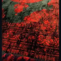 فرش|فرش|کرج, برغان|دیوار