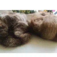 کلاه روسی خز اصل|لباس|سمنان, |دیوار