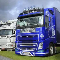 شرکت حمل و نقل رییسی حمل کالای دربستی وپشت باری