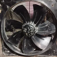 فن پنجاه در پنجاه دمنده