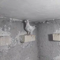 جوجه گلی ۵پره رنجر