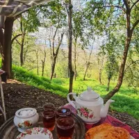 منشی جهت دفتر بیمه.
