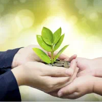 لطفا راهنمایی کنید