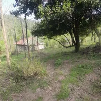 فروش زمین ۶۸۰ متری مسکونی در روستای گنجار|فروش زمین و ملک کلنگی|احمدسرگوراب, |دیوار