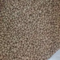 لوبیا کیلویی ۱۴۰|خوردنی و آشامیدنی|دره شهر, |دیوار