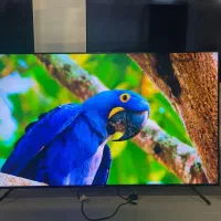 تلویزیون55اینچ4kپلمپ شرکتی هیمالیاباگارانتی۲سال|تلویزیون و پروژکتور|اهواز, پردیس دو|دیوار