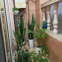 فروش آپارتمان ۸۶ متری /مشابه صفر/جنب‌هتل دریا|فروش آپارتمان|کیاشهر, |دیوار