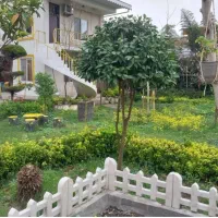 استخدام نیرو جهت همکاری شبانه روزی