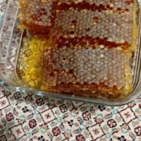 فروش لوبیا چیتی ،سفیدتخمه کدوعسل محلی آذربایجان|عمدهفروشی|اسلامشهر, مطهری|دیوار