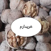 گردوی پوست سبز اقلید