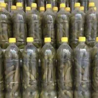 خیار شور فروشی