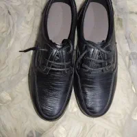 کفش مردانه|کیف، کفش، کمربند|ایذه, |دیوار