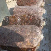 ضایعات خرما