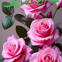 فرم مدرسه احتیا