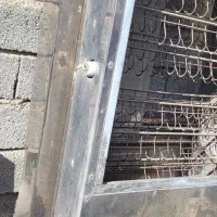 فر هاتداگ پز وبریونی|کافیشاپ و رستوران|ماهدشت, |دیوار