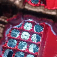 سفر زیارتی اقتصادی