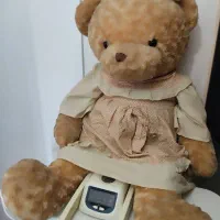 عروسک شاسخین خرسی با پولیش خارجی شیک و زیبا