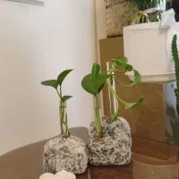 گلدان جفت طرح صخره