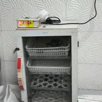 دستگاه جوجه کشی