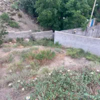 زمین خام پل سفید ورسک