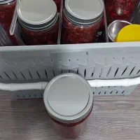 ترشی شمالی|خوردنی و آشامیدنی|مشهد, جنت|دیوار