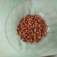 حبوبات|خوردنی و آشامیدنی|ورامین, ورامین|دیوار