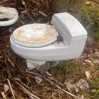 فرنگی و روشویی