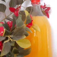 آبغوره و آب نارنج شمال