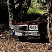 اجاره ماشین کلاسیک برای عروسی،فرمالیته و ...|خودرو اجارهای|نوشهر, |دیوار