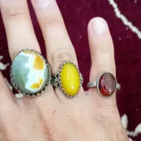 انگشتر  با کفتر معاوضه‌ دارم  یا مرغ تخم گذار