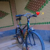 دوچرخه 24 فرمون کاوه