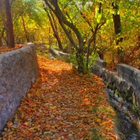 طبیعت پاییزی و لوکیشن عکاسی