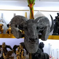 دوربینی آباژور فلزی فرنچ پرس ماگ دمنوش مجسمه آلبوم|دوربین عکاسی و فیلم‌برداری|قم, زاویه|دیوار