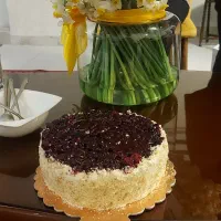 یک خانم موجه برای کار امورات منزل