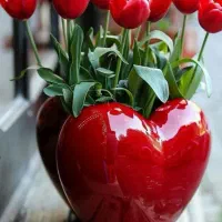 بررسی بسیار دقیق خواب همراه با مشاوره